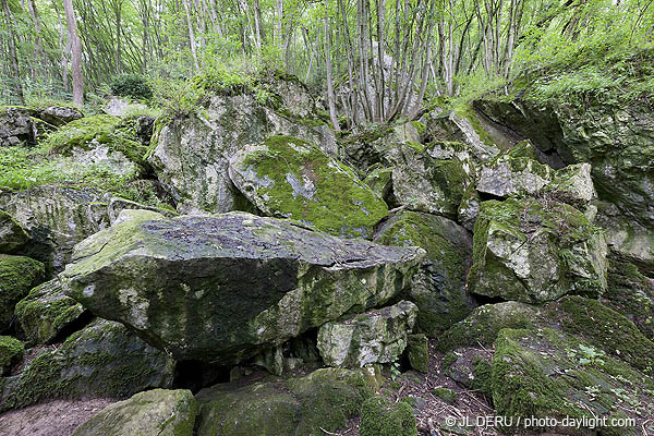 bois et rochers
wood and rocks